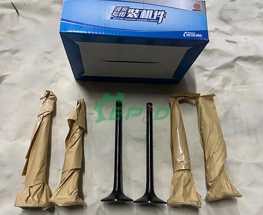 Diesel Engine Intake Valve for Sale | Baudouin Weichai Engine Parts | 6M 8M 12M 20M Series